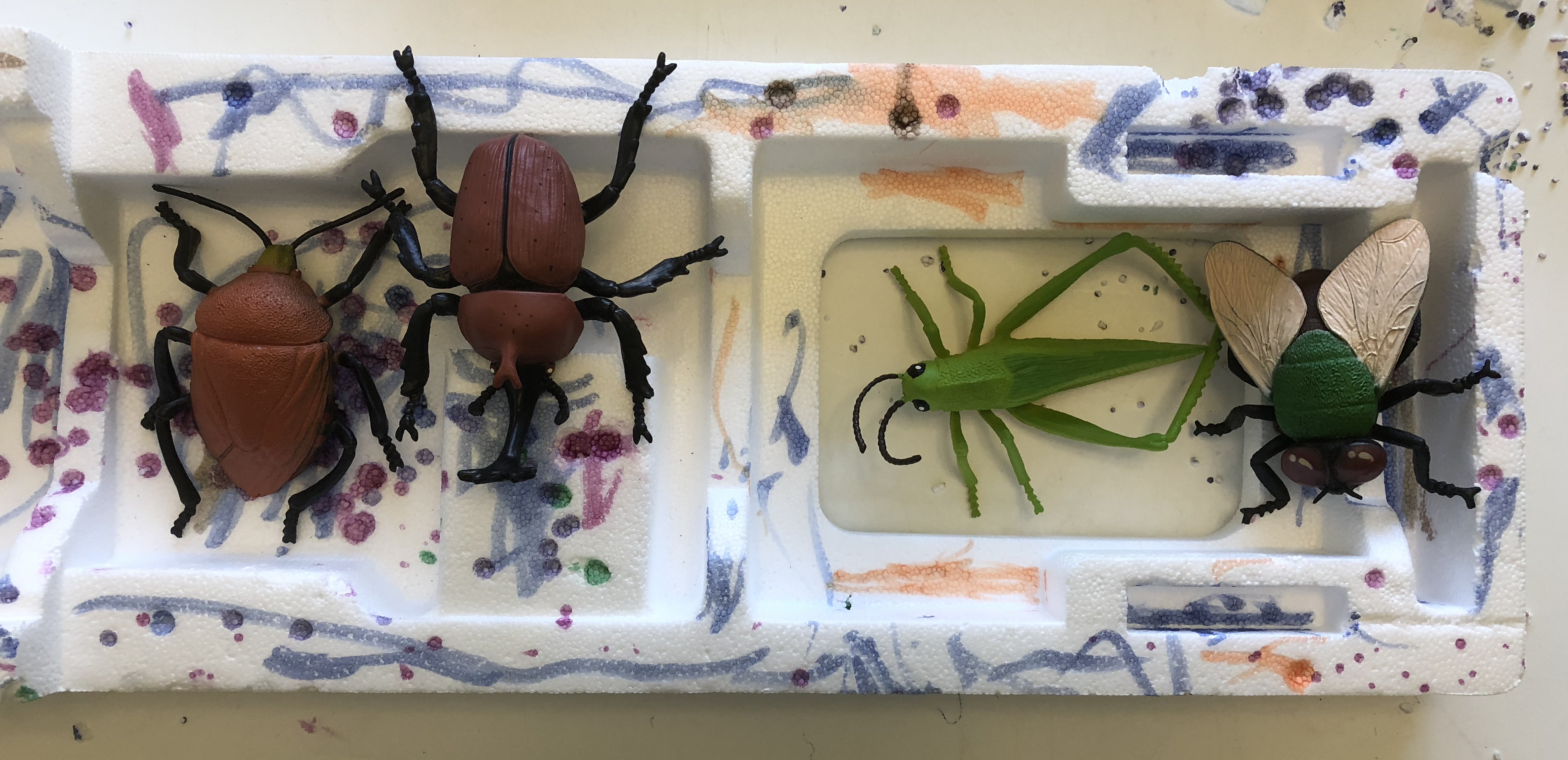 toy bug sitting in colorful styrofoam